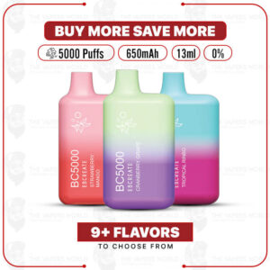 BC5000 Disposable Vape 0-Nic