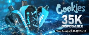 ReviewReview: Cookies 30k Disposable