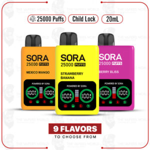 Sora 25k Disposable Vape – Fruit Series