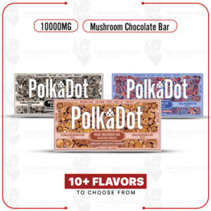 Polk A Dot Mushroom Chocolate Bar – 10000MG