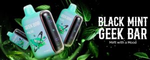 Black Mint Geek Bar Pulse 15000