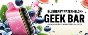 Blueberry Watermelon Geek Bar Pulse