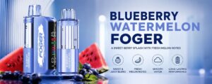 Blueberry Watermelon Foger: Switch Pro 30k